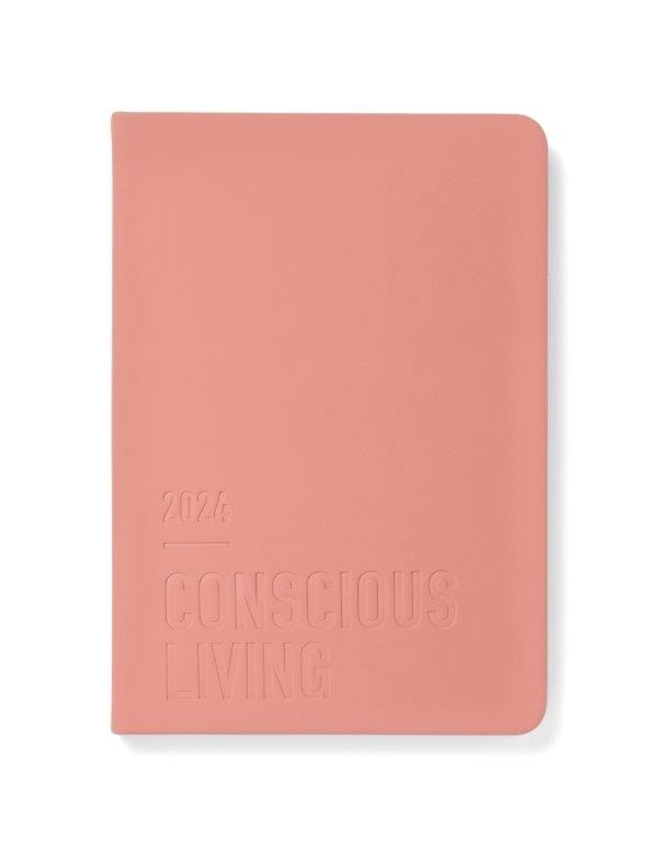LETTS A5 DIARY 2024 CONS WTV CLAY (2397)